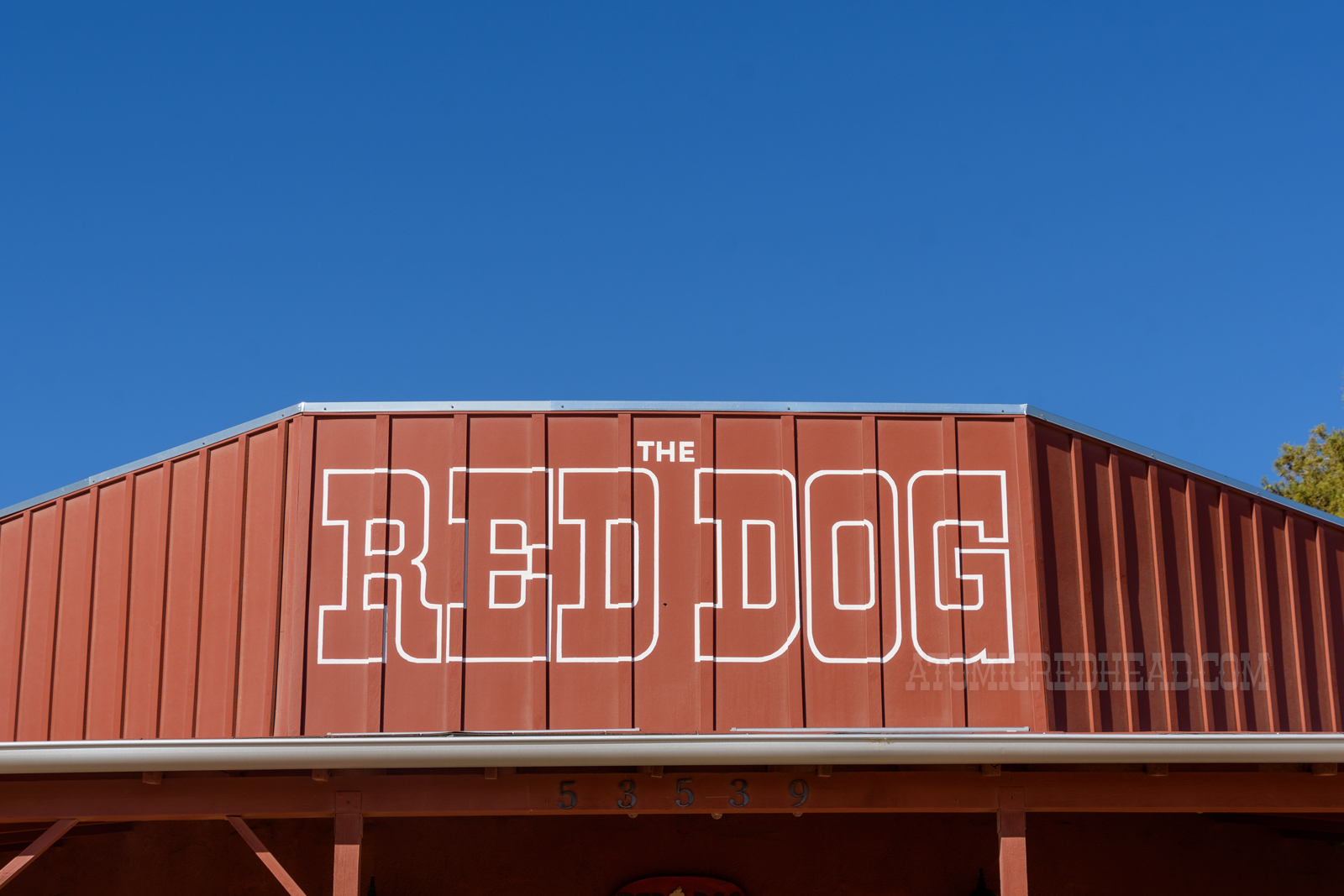 Close-up of above the entrance, which reads "The Red Dog" in red letters outlined in white.