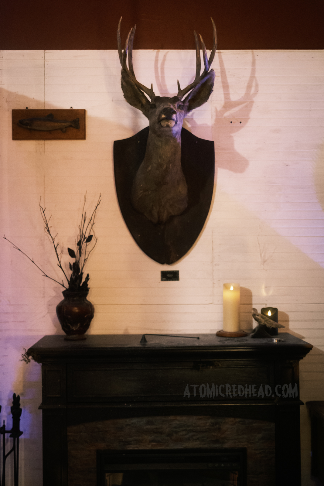 A taxidermy mounted deer head above a fireplace.