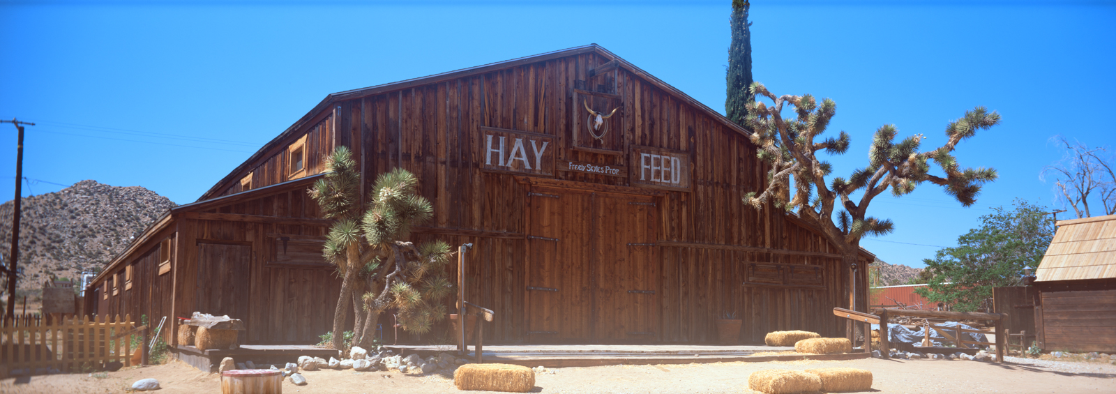 A large barn with "Hay Feed" painted above the door.