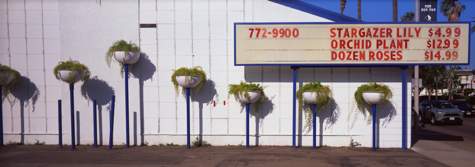 Photograph of a sign board on the side of a florist shop.