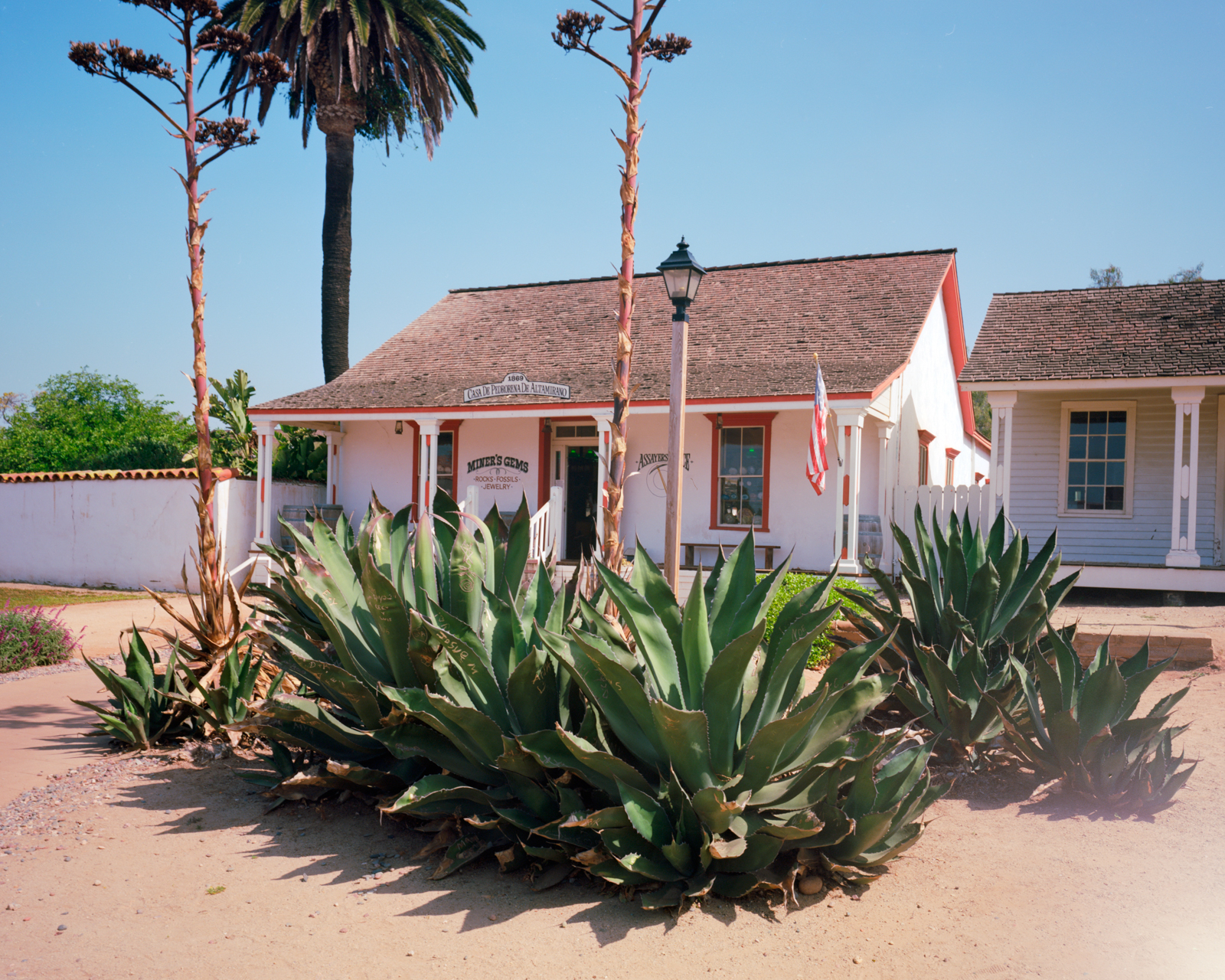 Photo a building with large aguave plants out front.
