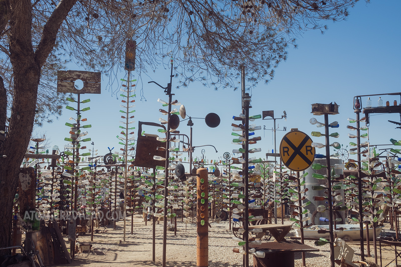 Wide, overall shot of Bottle Tree Ranch. The "bottle trees" are tall metal posts with smaller rods jutting out from the side, with glass bottles slid onto them. Some of the trees are topped with various items, such as car doors, stop lights, wheels, lanterns, and signs.