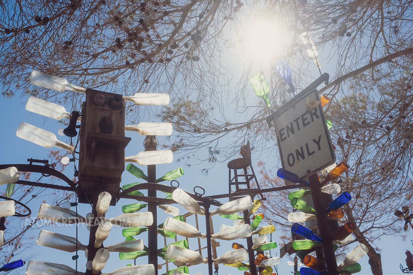 The tops of some of the trees, which include an antique phone, "Enter Only" sign, and chair.