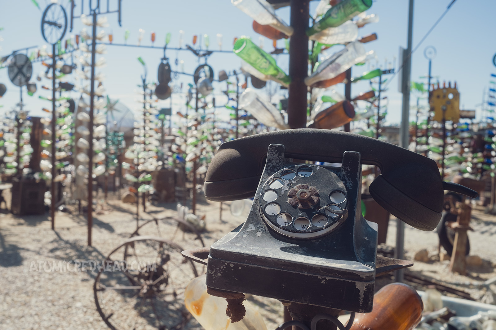 A phone from the 1930s or 40s sits atop a short bottle tree, with taller bottle trees in the distance.