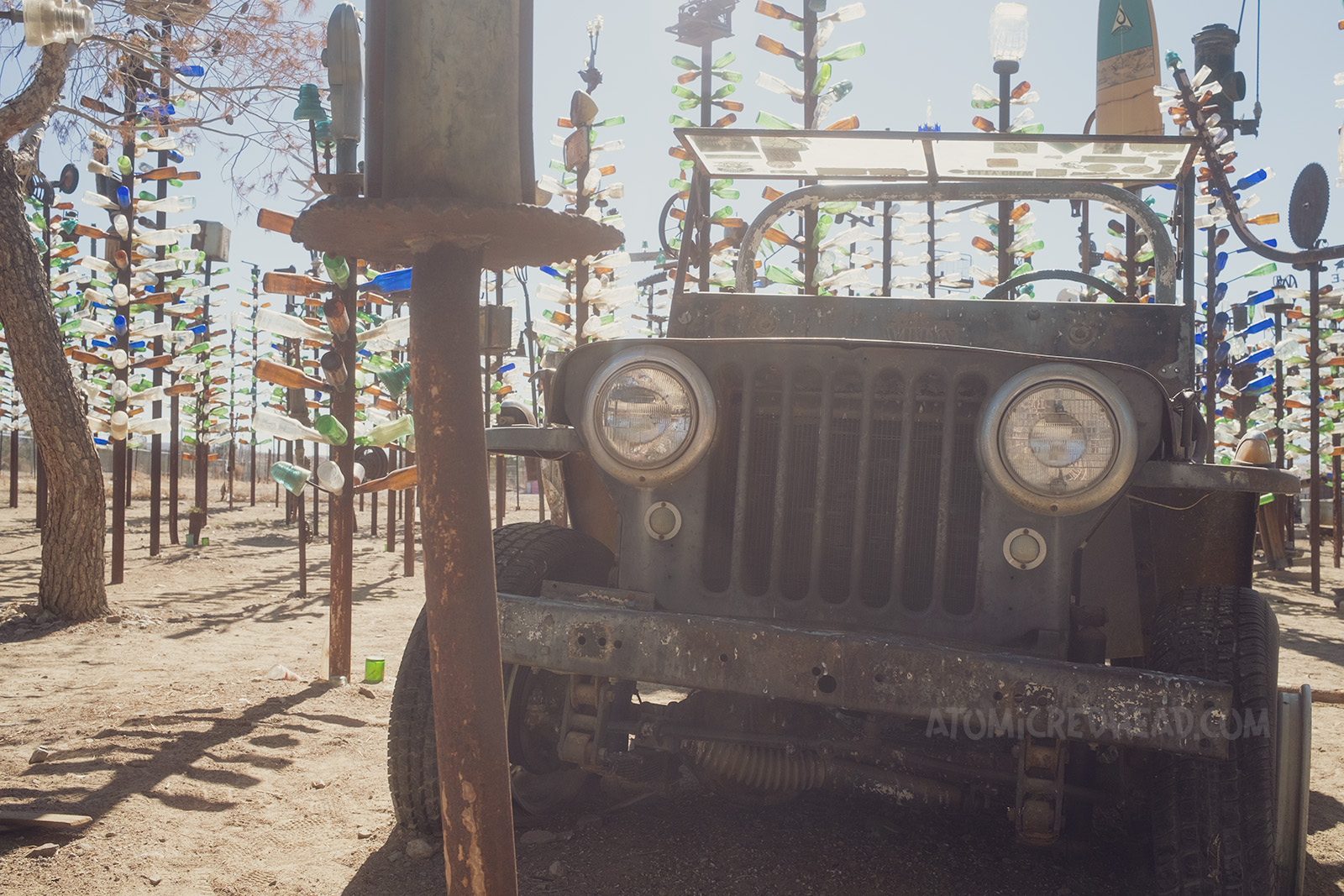 An old Jeep sits in the middle of the bottle tree forest.
