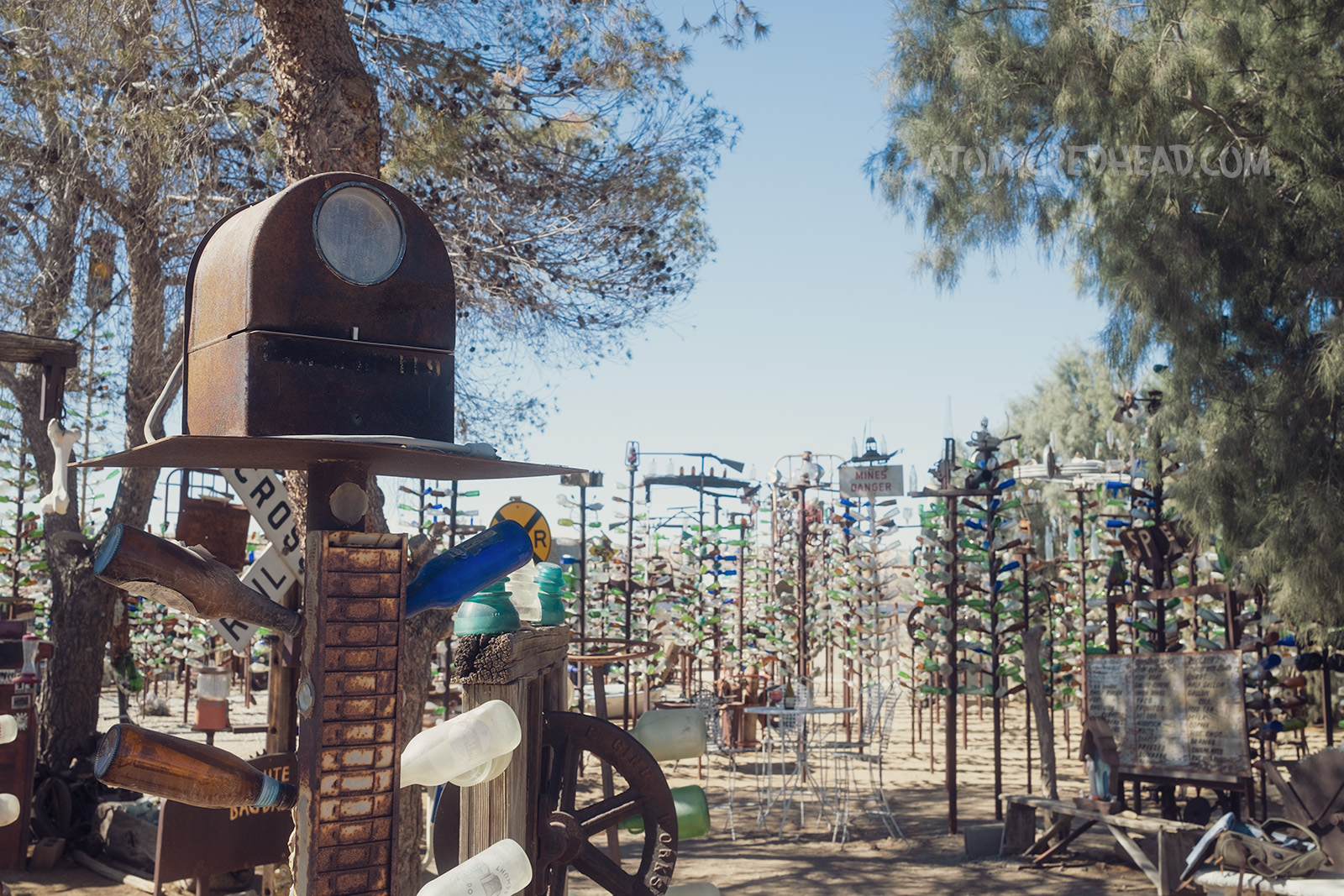 A vintage radio sits atop a small bottle tree in the shade of a real tree, other bottle trees in the distance.