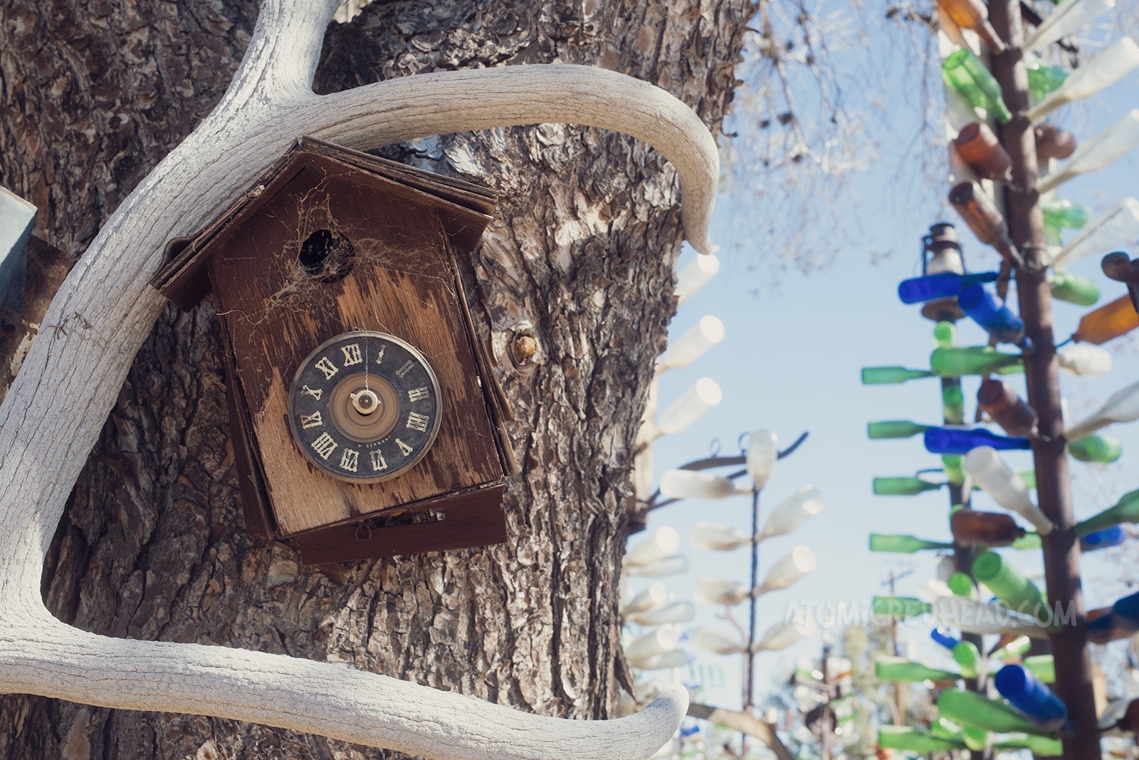 An old coo-coo clock is hanging from a real tree, and antlers wrap around the trunk.