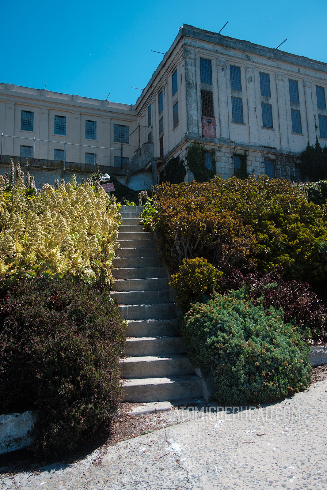 A stairway cuts through the west side garden, leading up to the cell house.