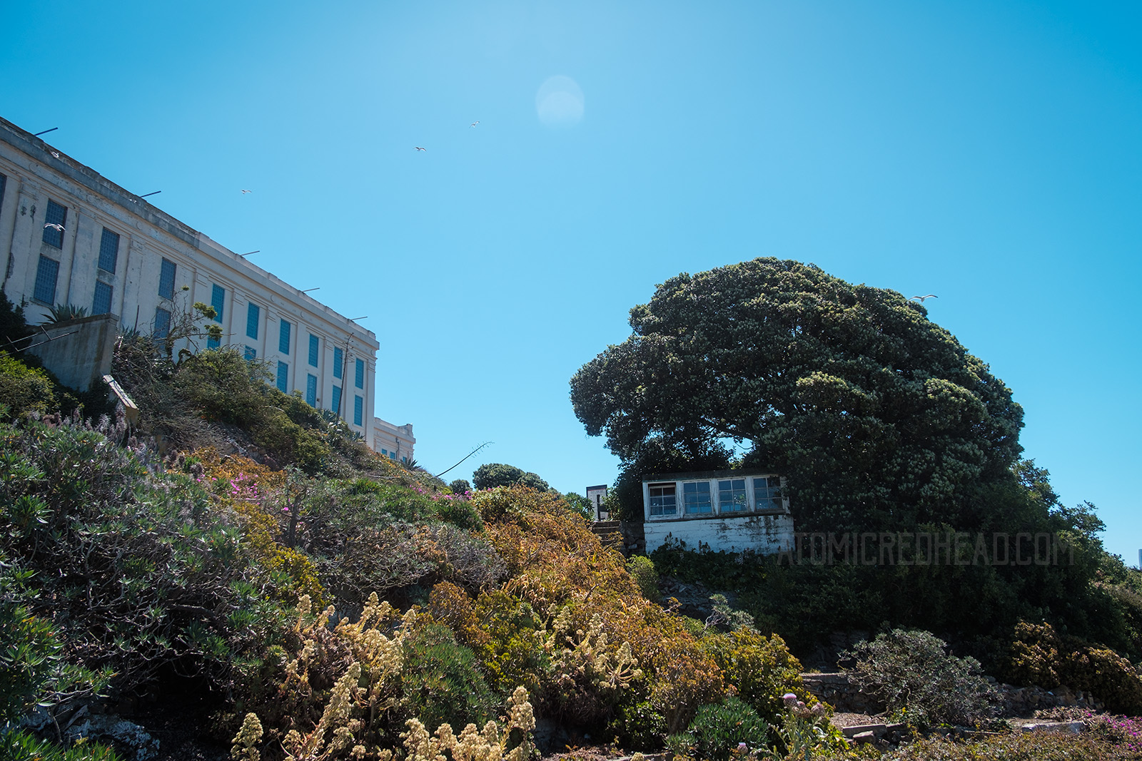 The hilly garden outside of the cell house, which is seen in the upper left, and a small greenhouse on the right.