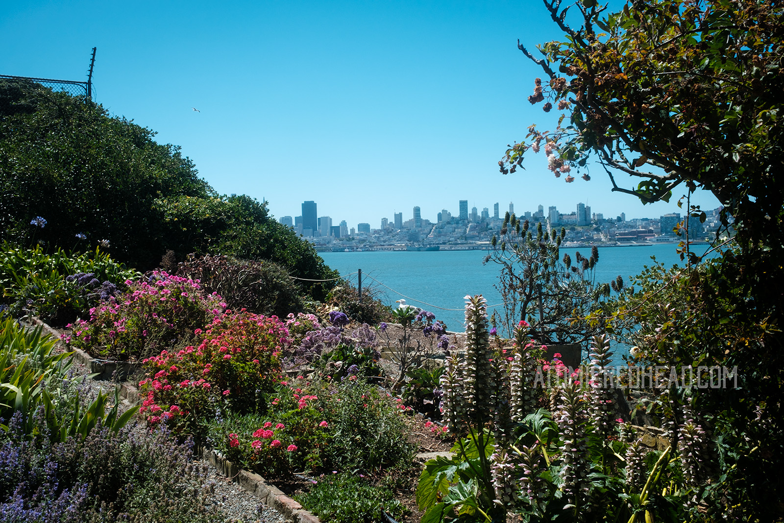 The west side gardens cascade toward the edge of the island, with San Francisco visible in the distance across the bay.