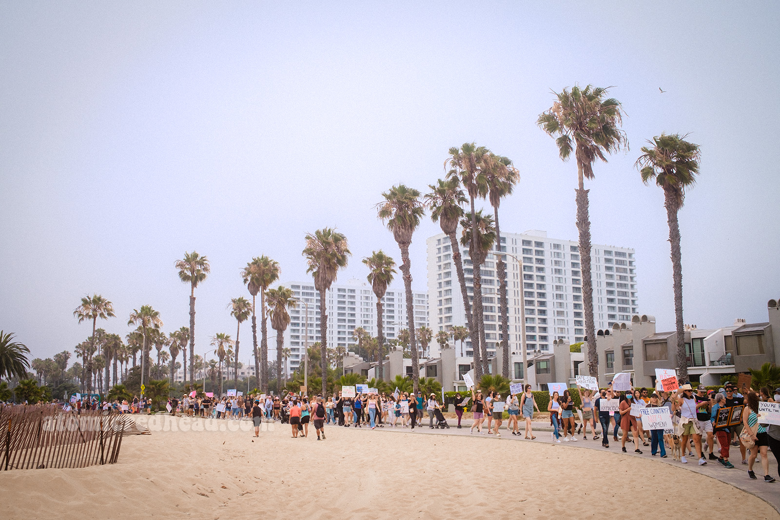A long crowd of people winds along the beachside path, tall palm trees dot the path.