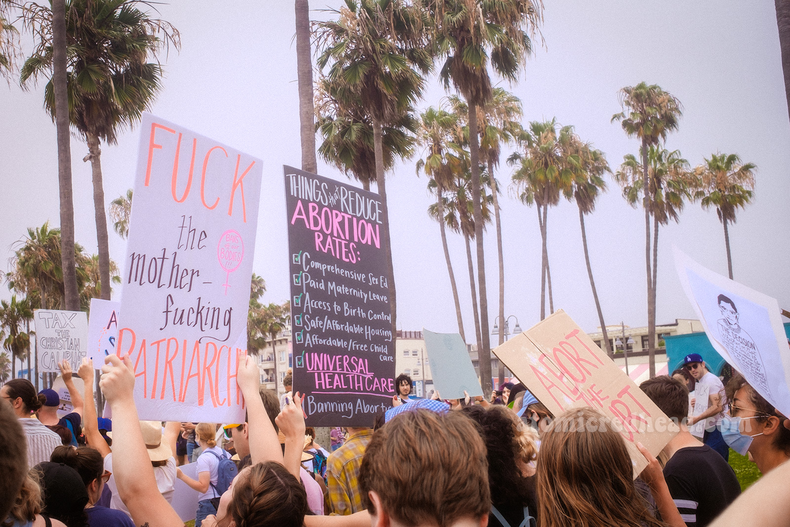 Various protest signs, some of which read "Fuck the mother-fucking Patriarchy" "Things that Reduce Abortion Rates:" followed by a checklist, the following have green checks, "Comprehensive sex ed, Paid maternity leave , Access to birth control, Safe/affordable housing, Universal healthcare" and the "Banning Abortions" has a red X next to it.