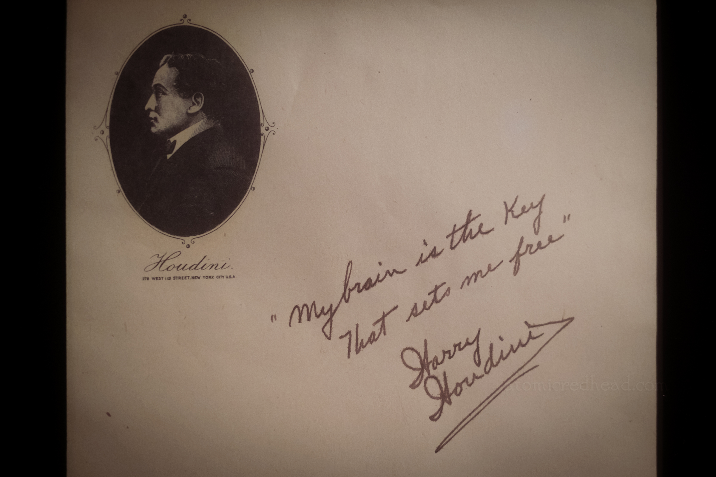 A page of Houdini's stationary with an image of him and a signature and quote reading "My brain is the key that sets me free"