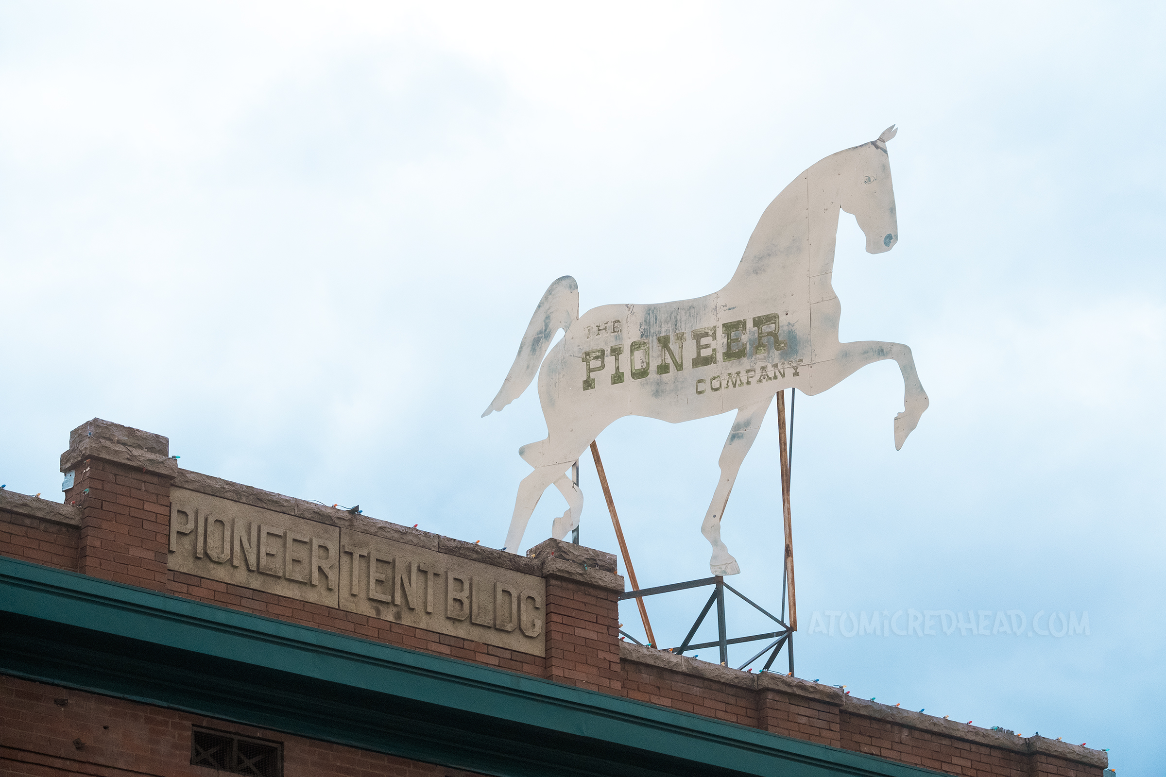 A large horse shaped sign sits atop a building and reads "The Pioneer Company"