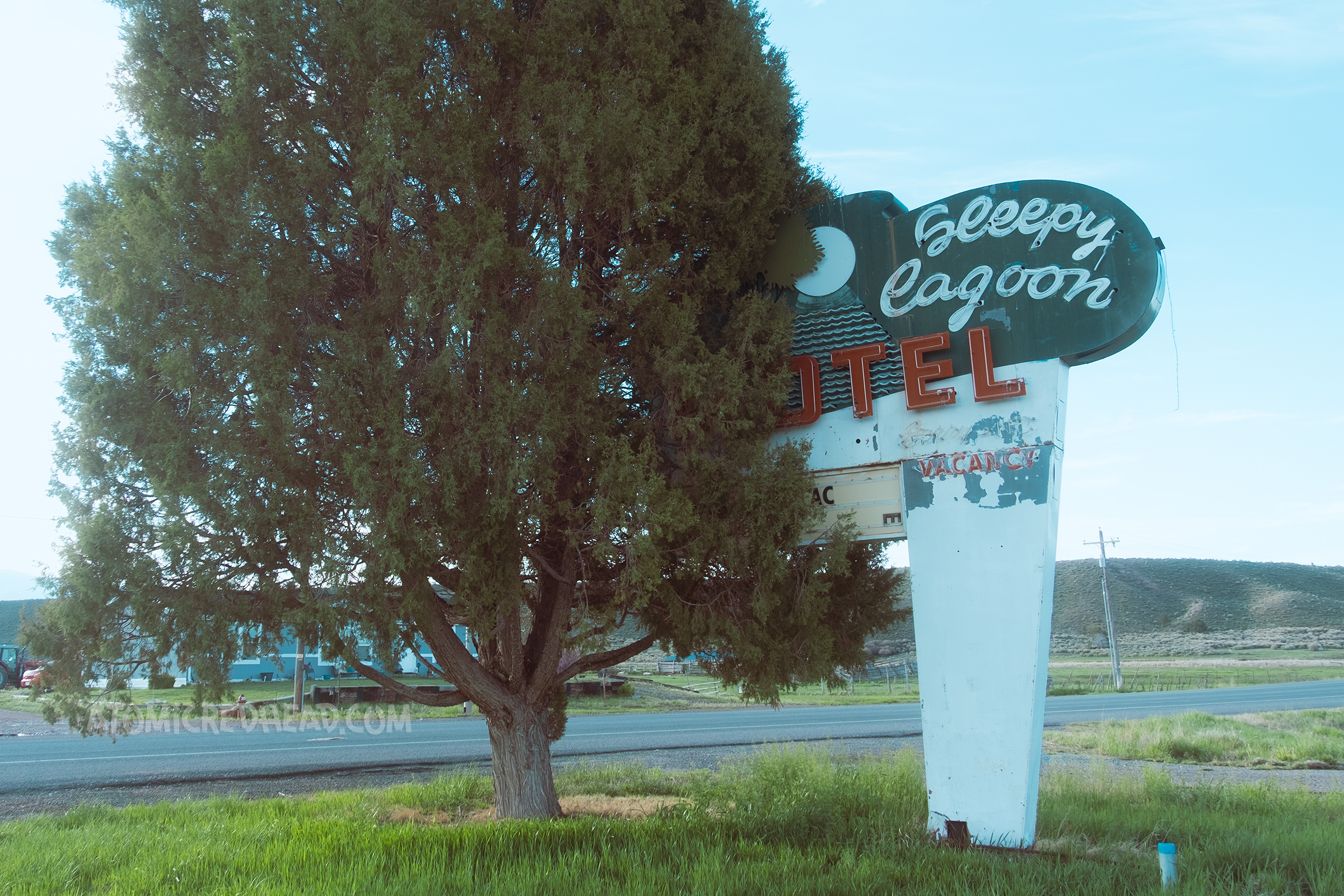 A tree has grown into a sign that reads "Sleepy Lagoon Motel" in neon with a moon over a body of water made of neon.