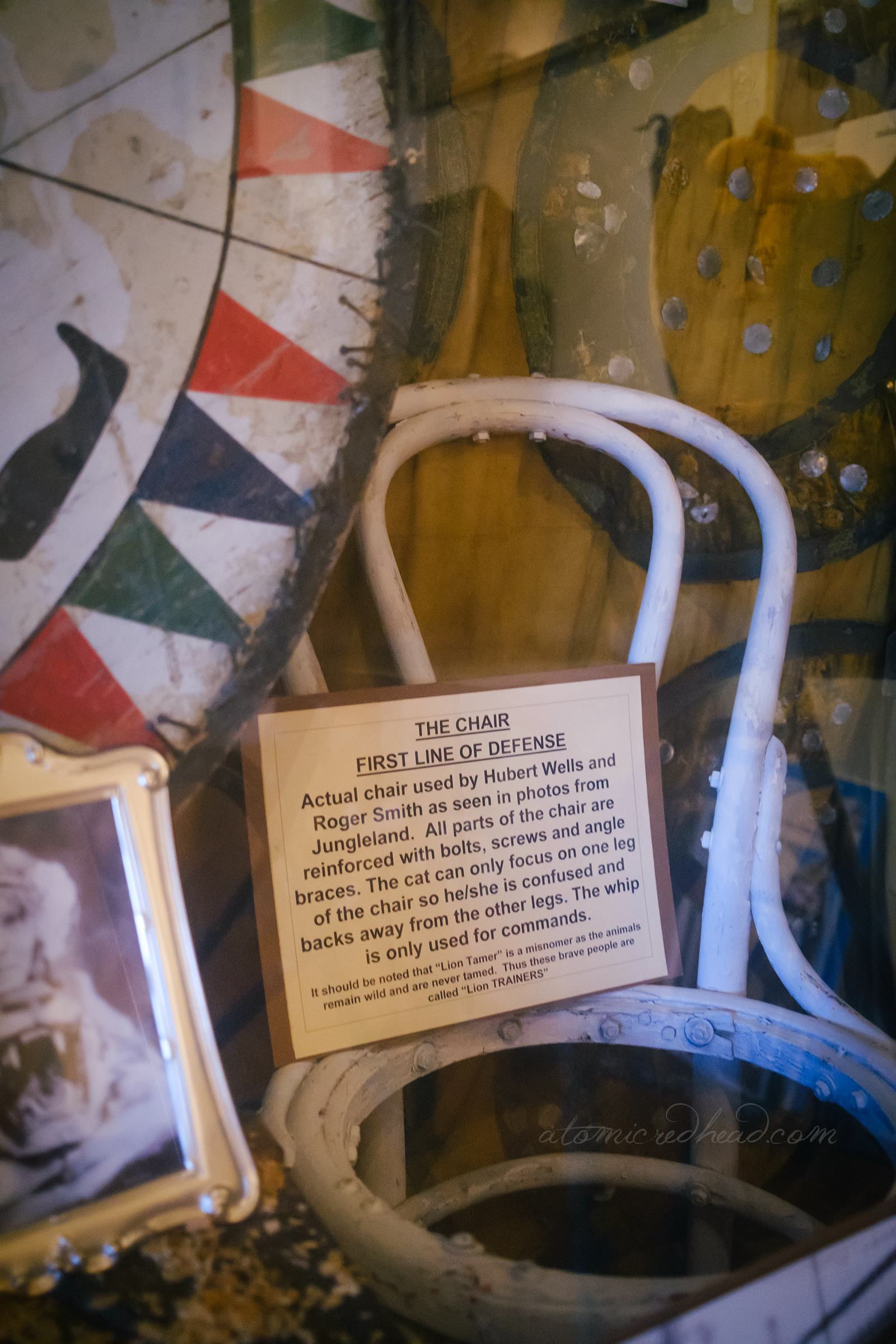A white chair features a sign reading "The Chair First Line of Defense Actual chair used by Hubert Wells and Roger Smith as seen in photos from Jungleland. All parts of the chair are reinforced with bolts, screws and angle braces. The cat can only focus on one leg of the chair so he/she is confused and backs away from the other legs. The whip is only used for commands. It should be noted that 'Lion Tamer' is a misnomer as the animals remain wild and are never tamed. Thus these brave people are called 'Lion TRAINERS'"