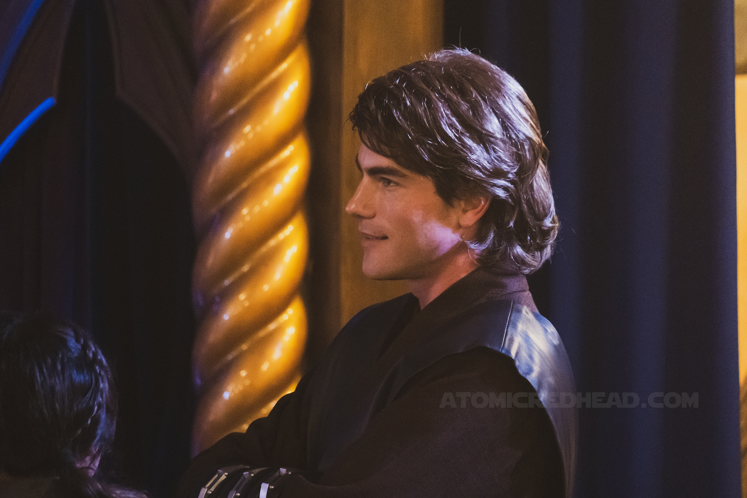 Anakin stands watch over Guests interacting with Queen Amidala 