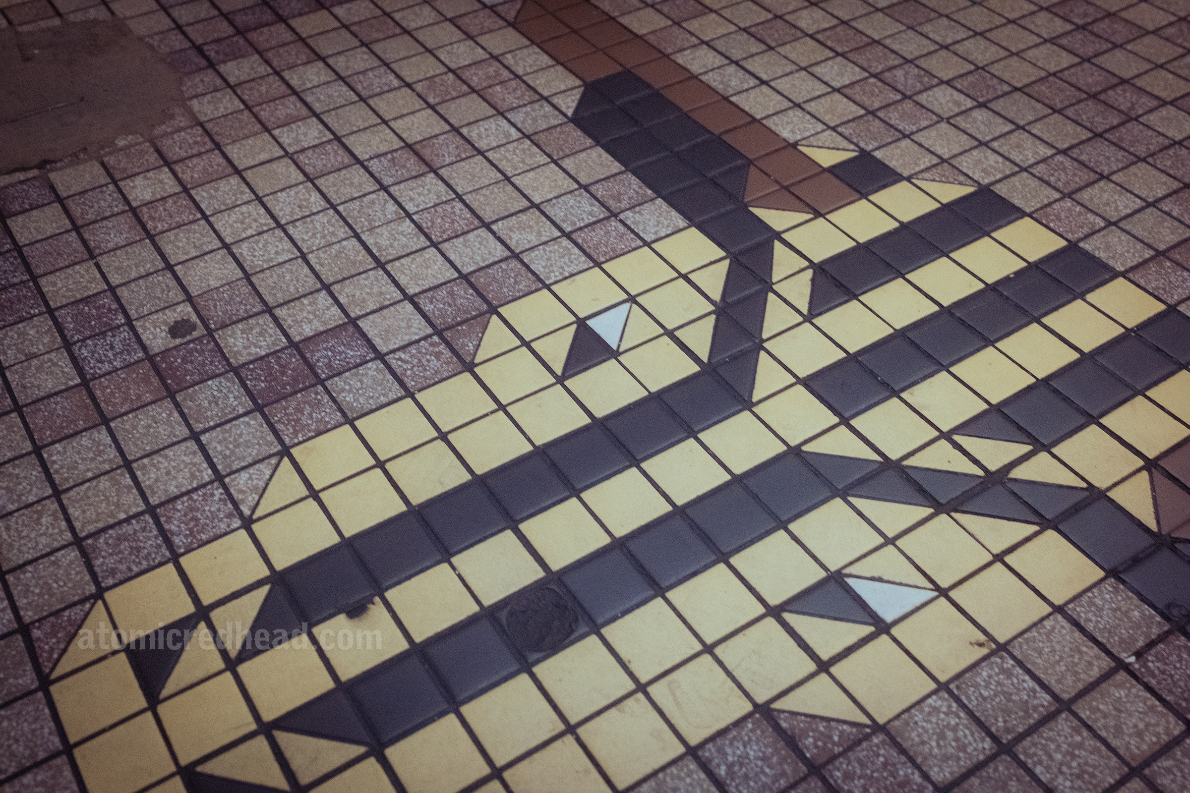 Close-up of one of the mosaic steer heads on the floor.