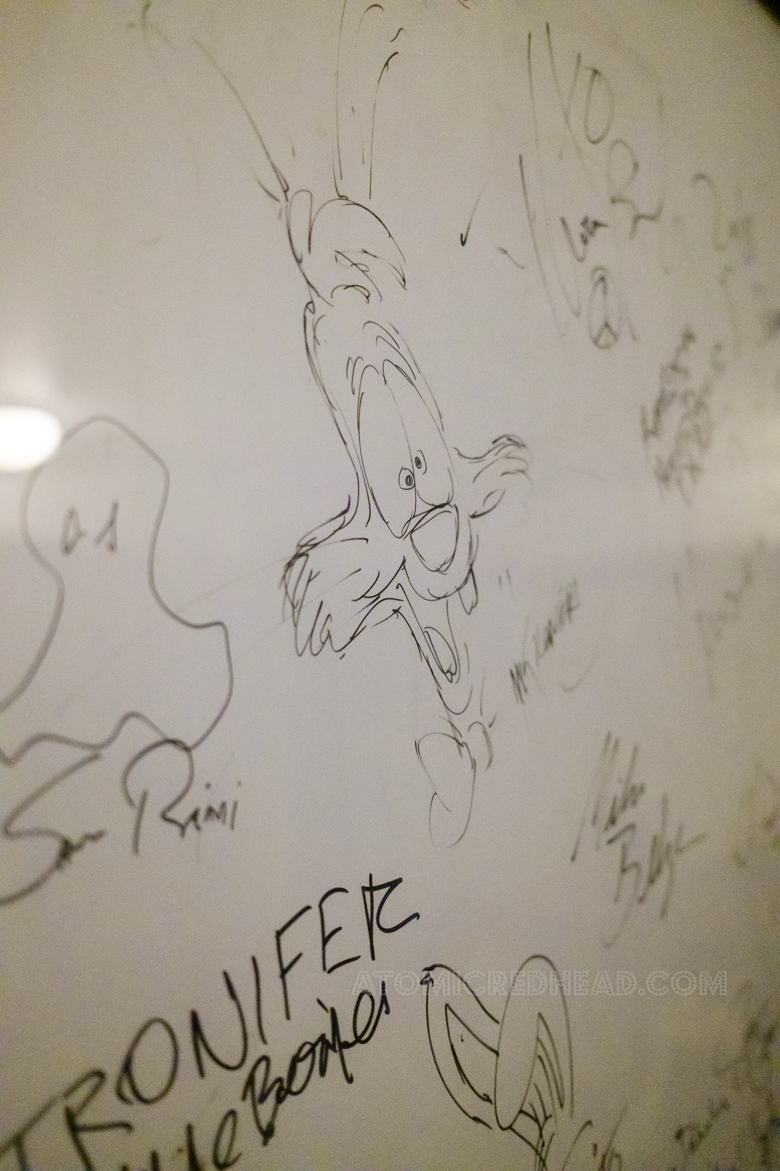 Close-up of a Roger Rabbit illustration on the autograph wall.