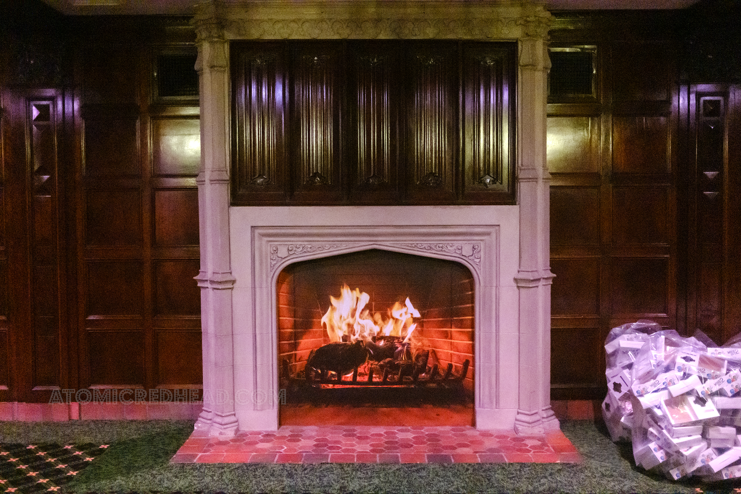 A stone fireplace sits in the middle of a dark wood paneled room.