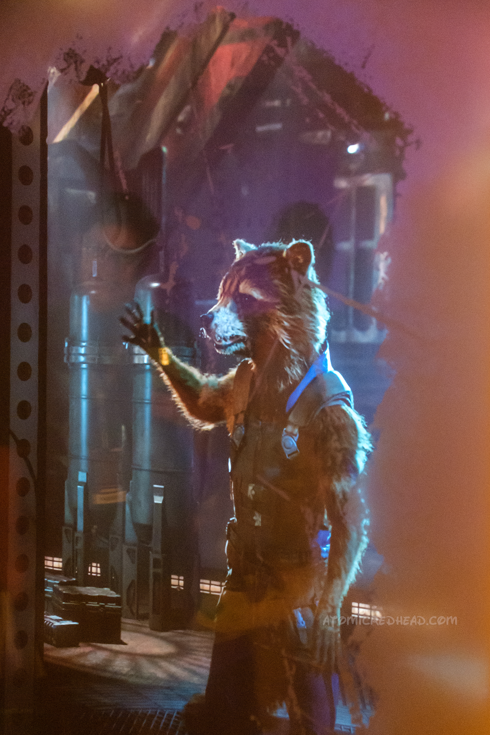Rocket, a raccoon that talks and stands on his back legs, greets guests.