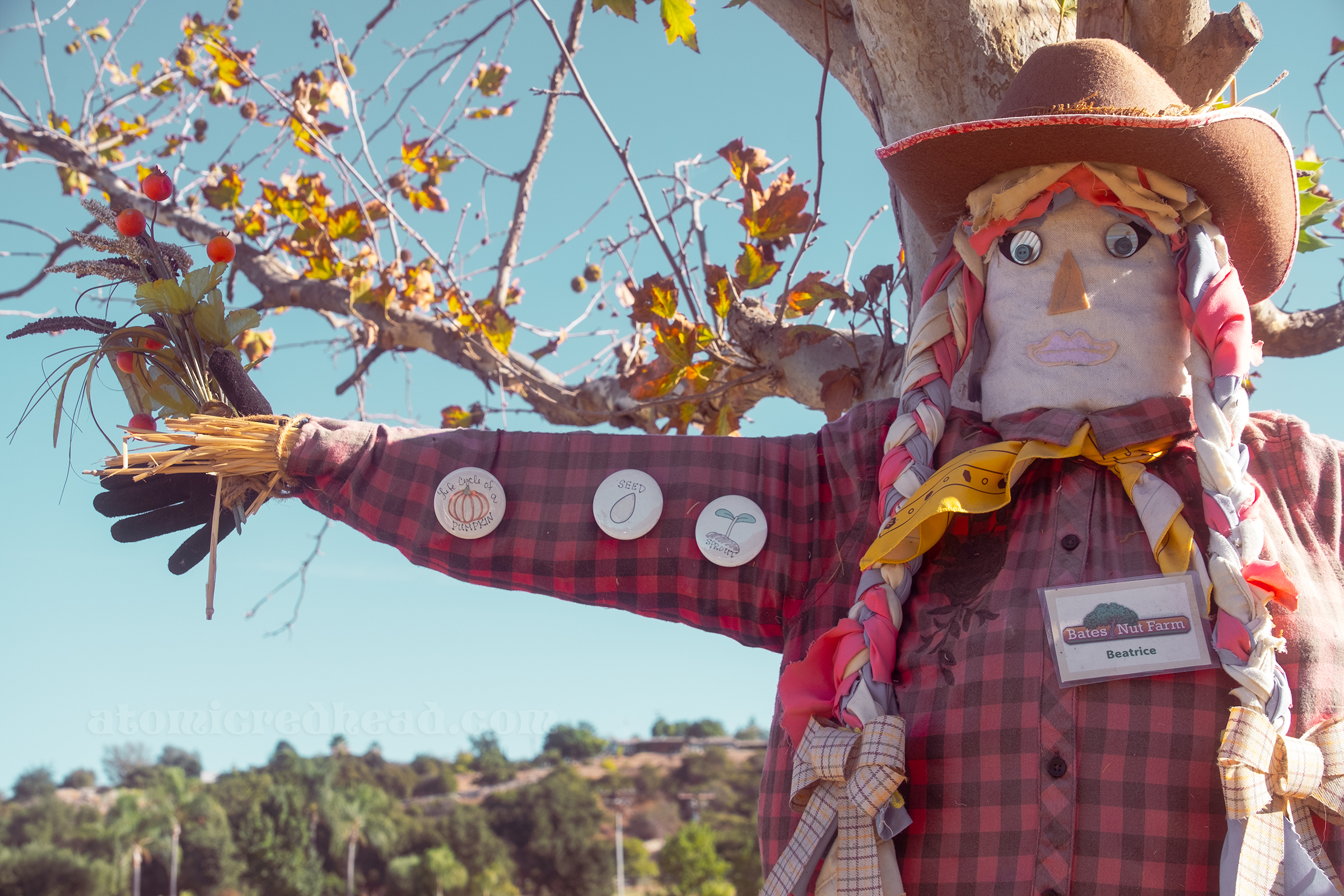 A scarecrow wearing an orange and black plaid shirt with a hat and braids made of fabric.