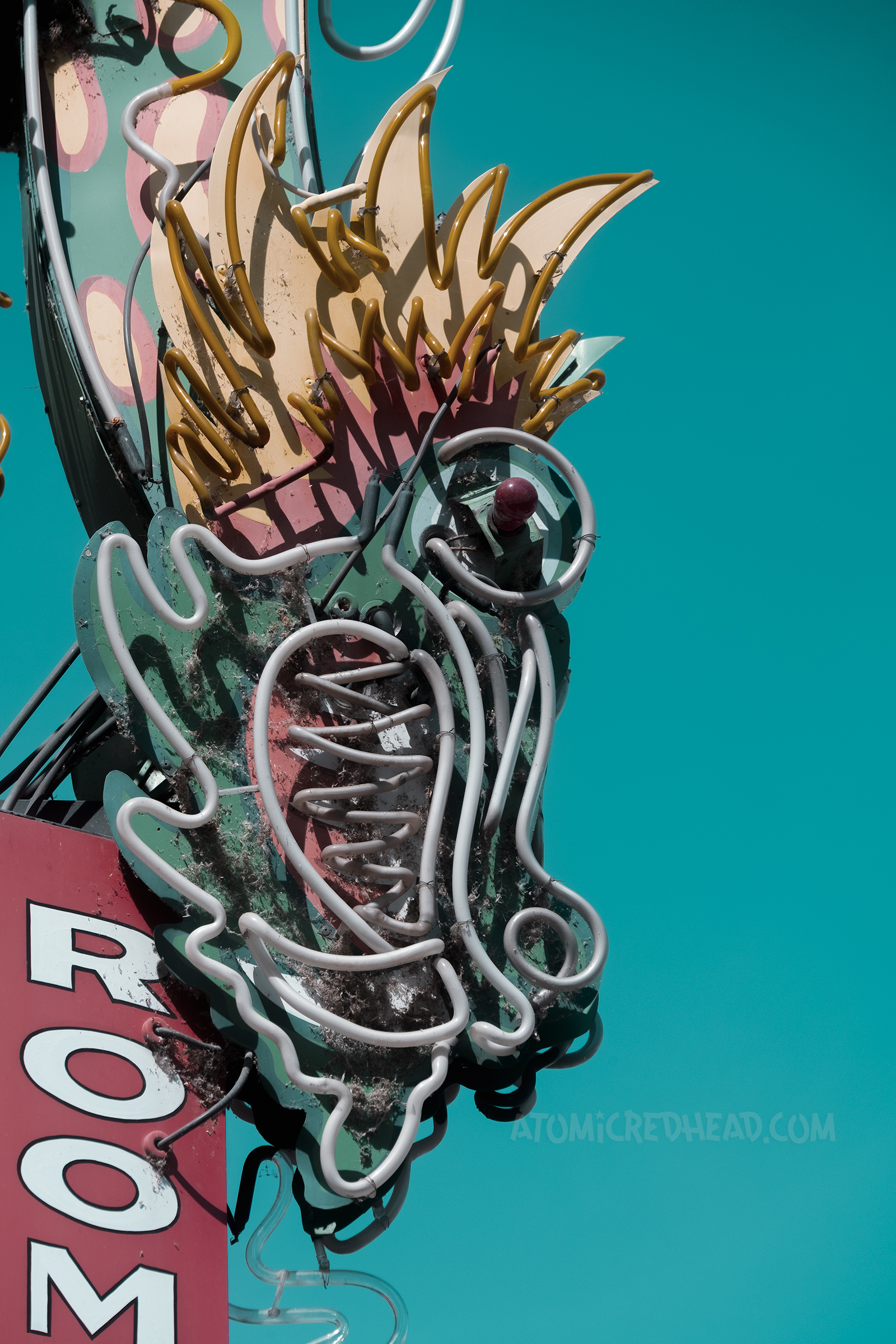 Close-up of the intricate neon Chinese dragon head.