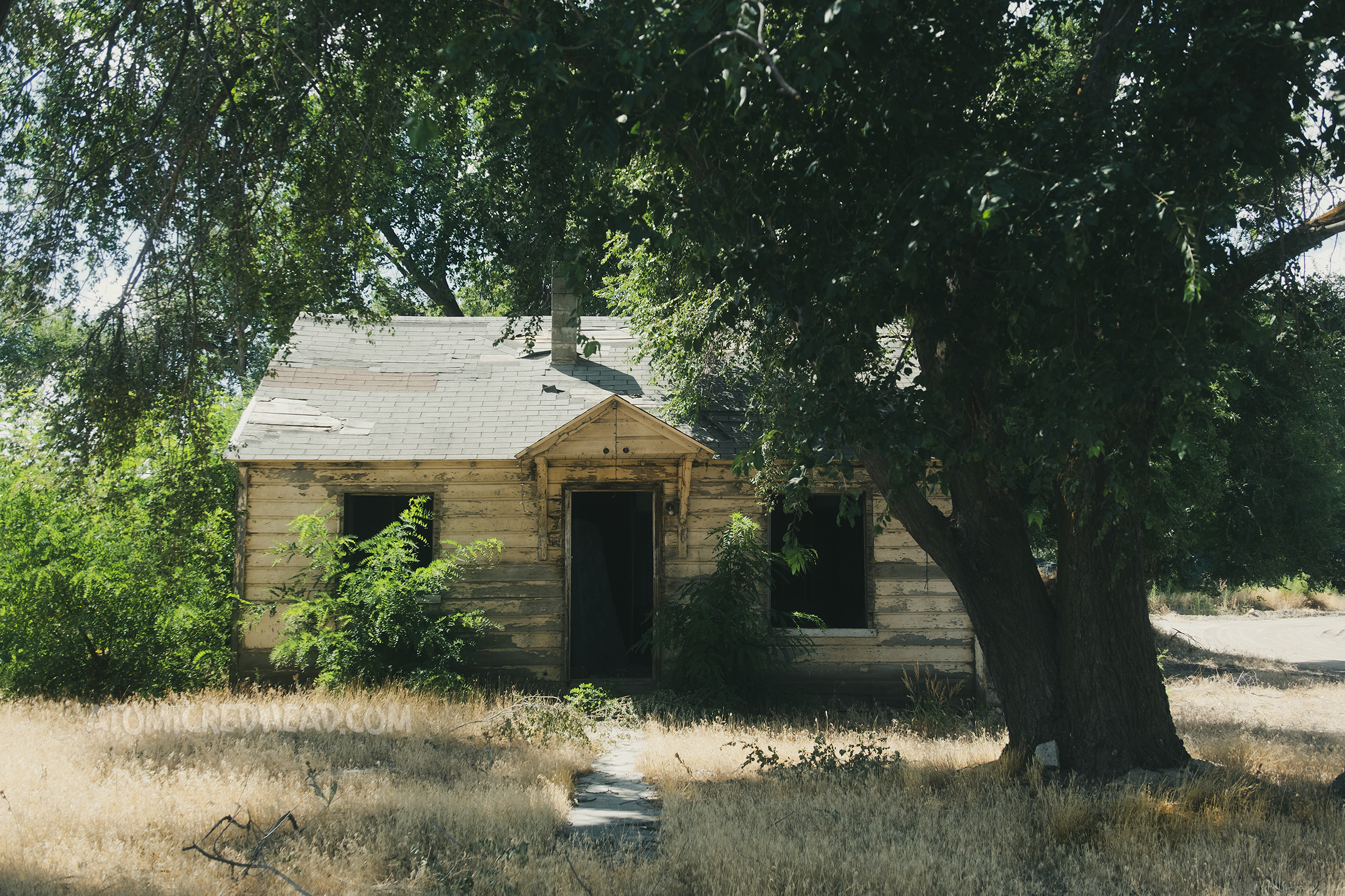 A small white house with flaking paint, and overgrown bushes and grass.