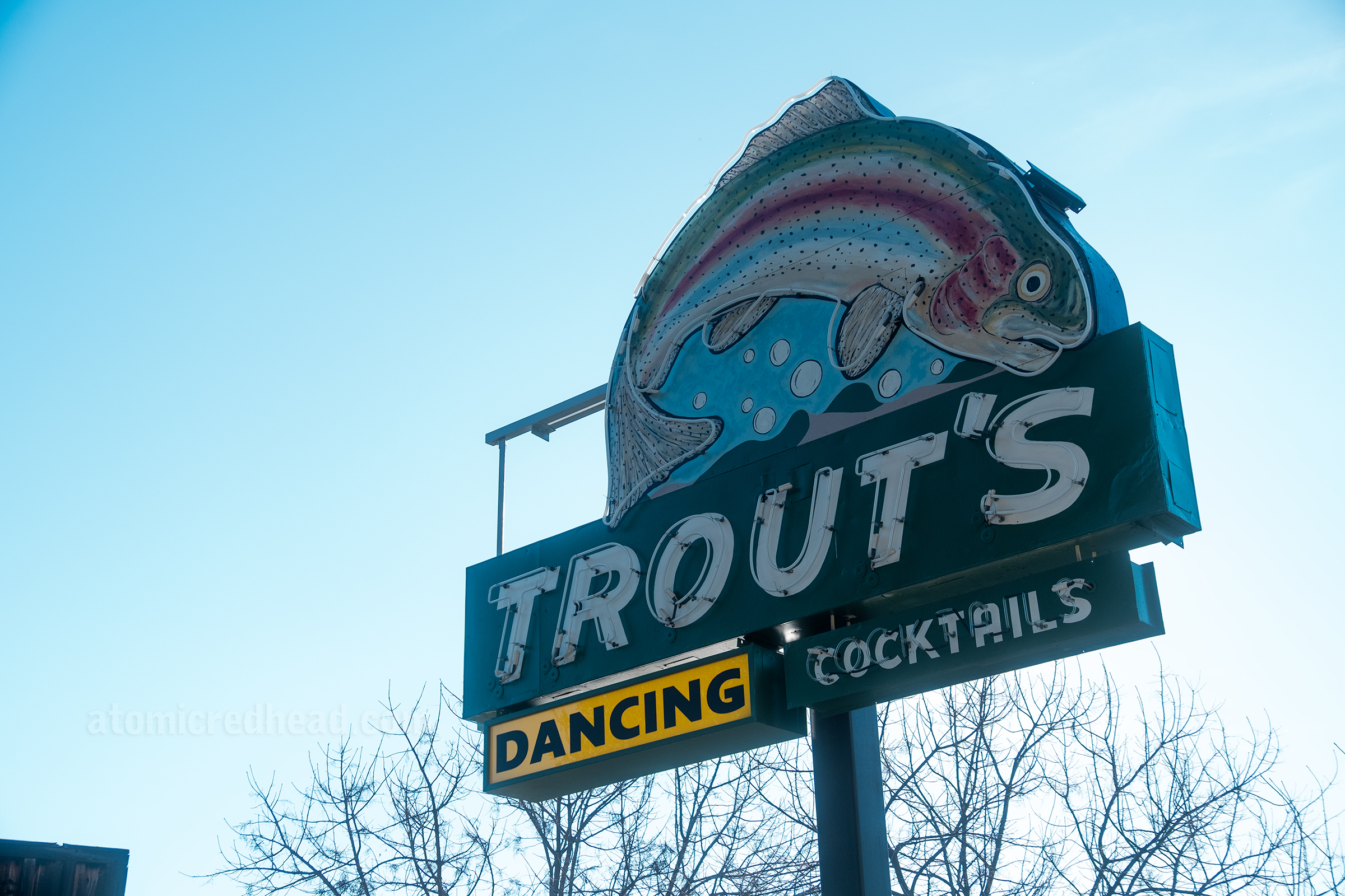 A neon sign of a leaping trout and text reading "Trout's Dancing Cocktails"