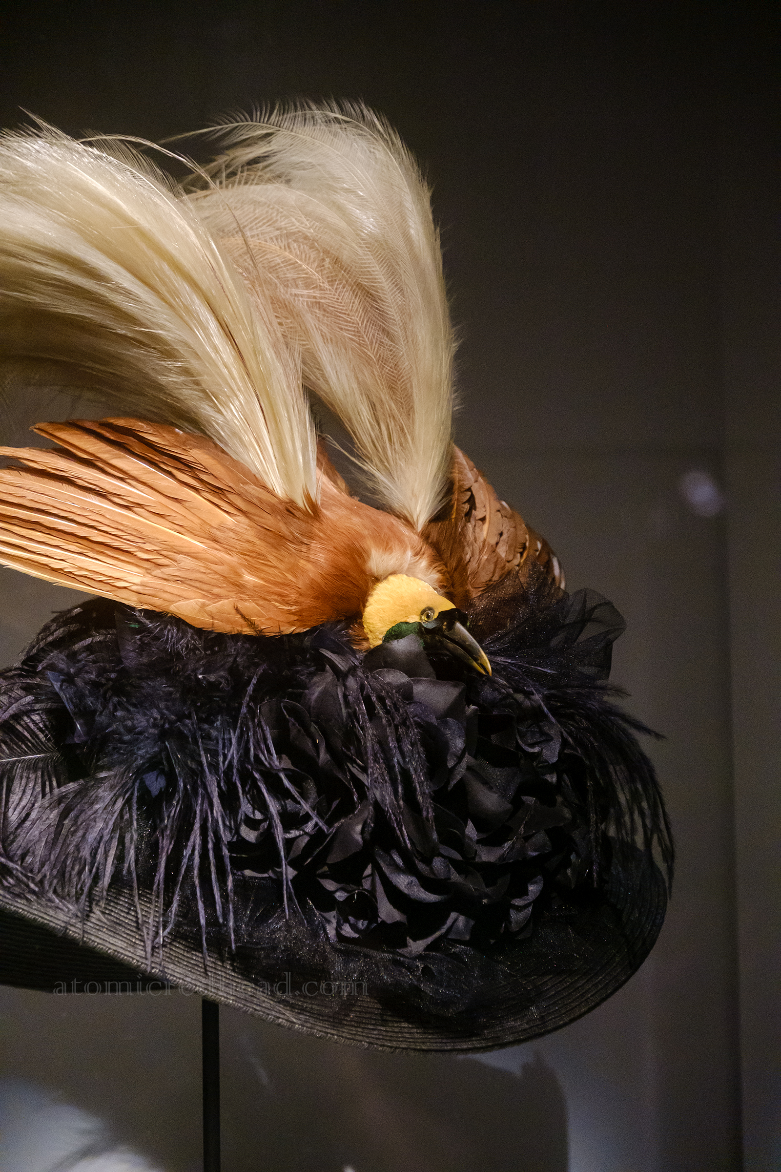 Close-up of a Victorian woman's hat with a bird on it.