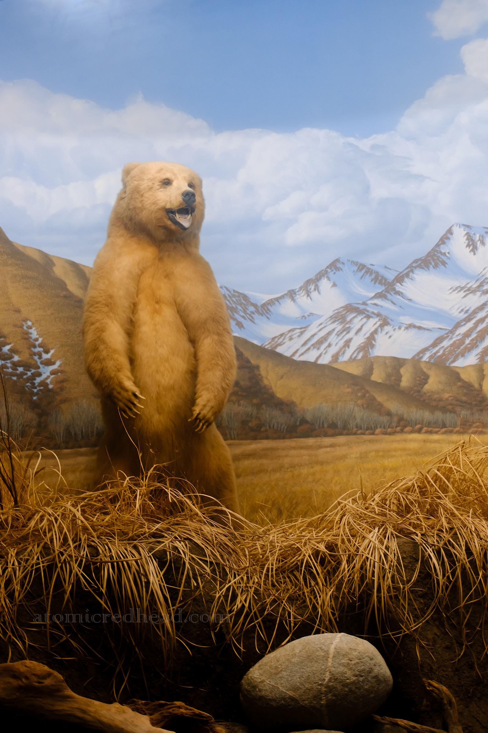 A taxidermy grizzly bear stands upright with a background of mountains.
