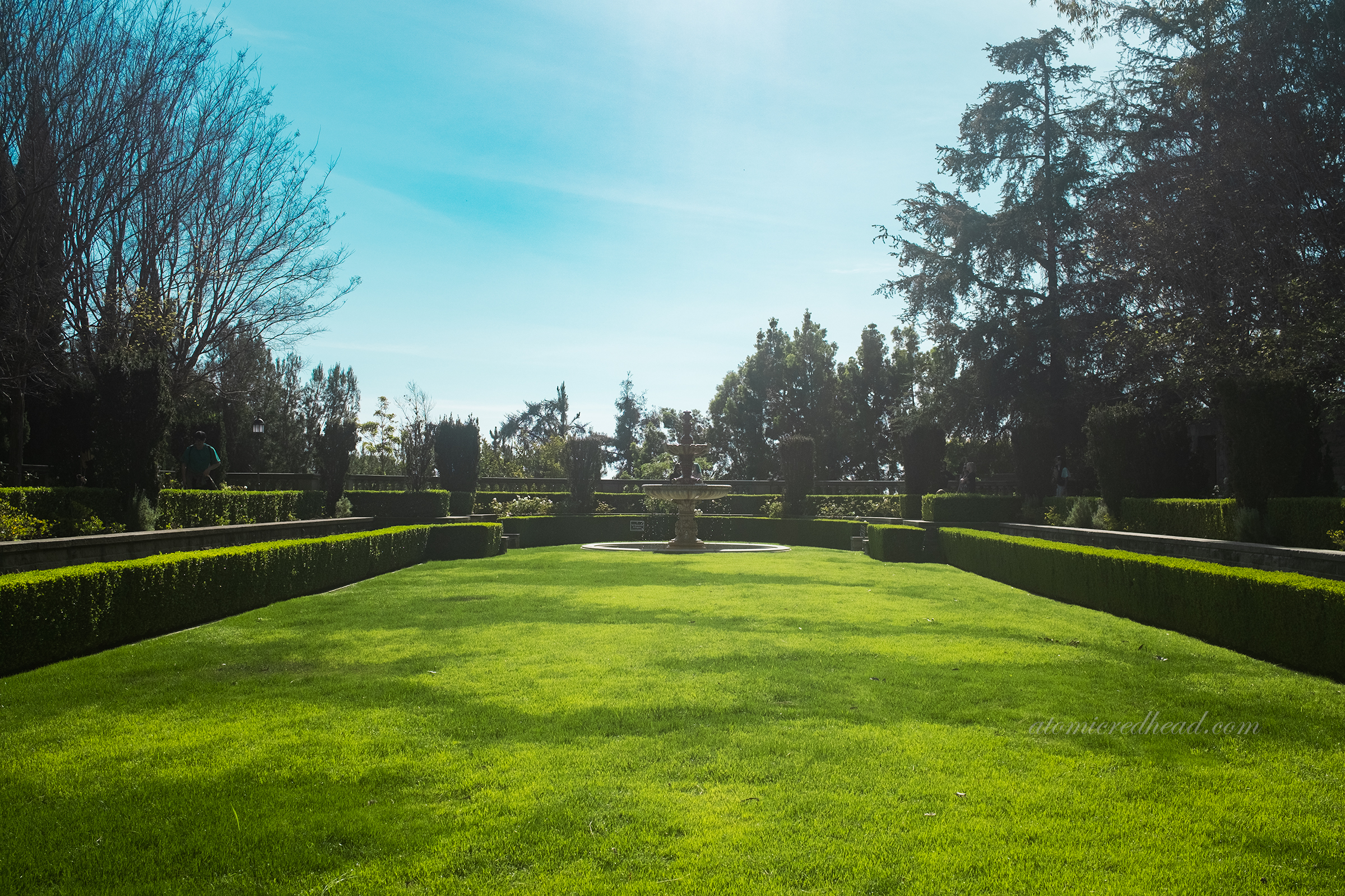 A lush lawn spreads out with well manicured hedges. 