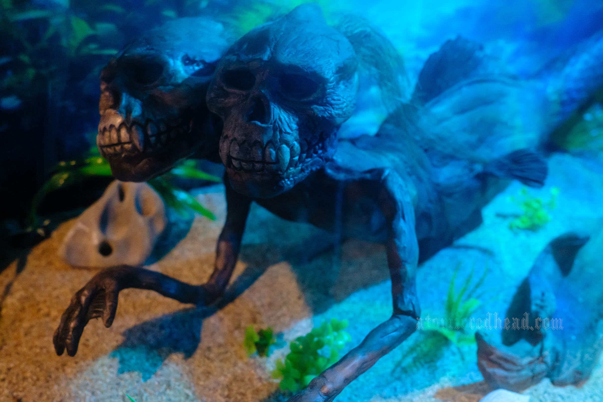 A two headed Fiji mermaid.