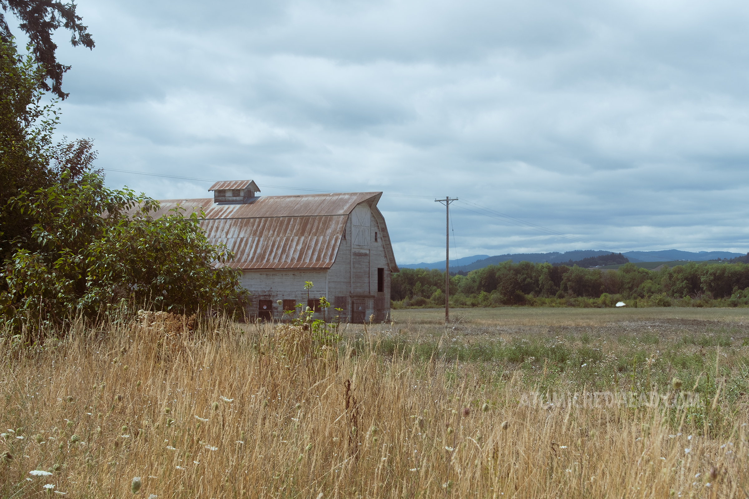 An old barn in the middle of a field.