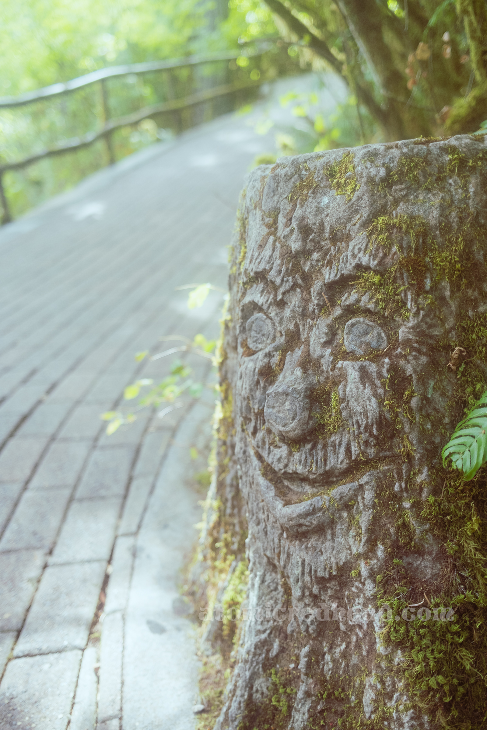 A jolly face on the side of a tree stump.