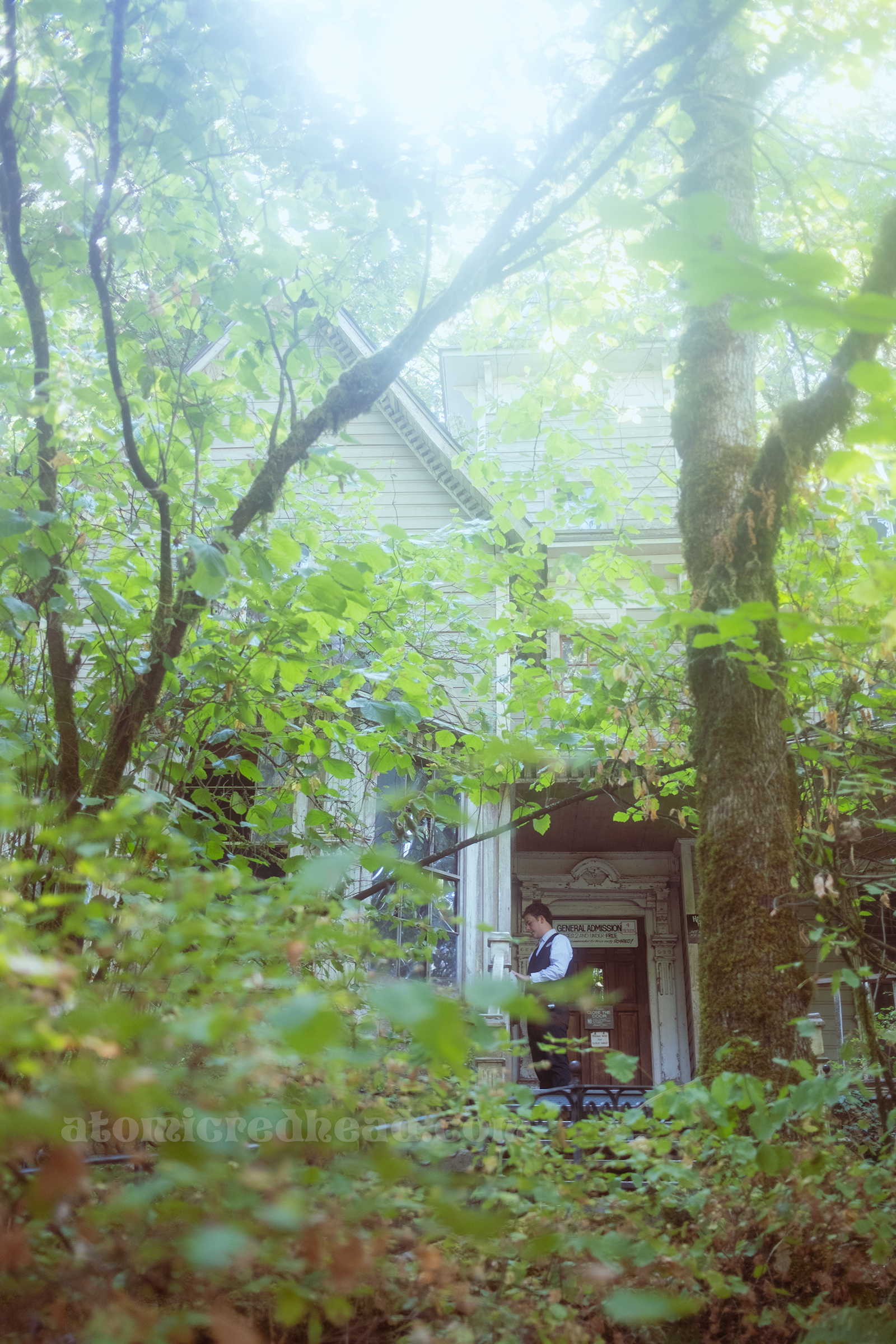 The Haunted House looms behind trees.