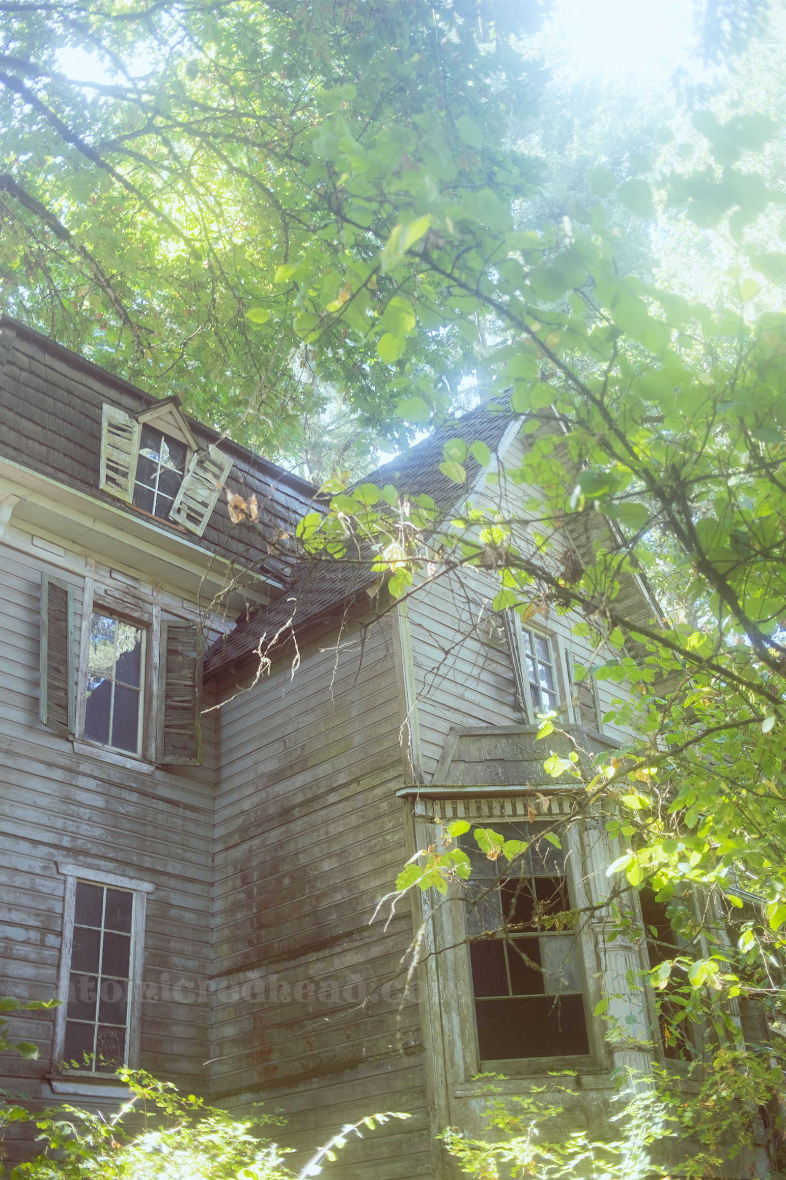A grey Victorian house serves as the Haunted House, it is dirty with broken shutters and trees growing around it.