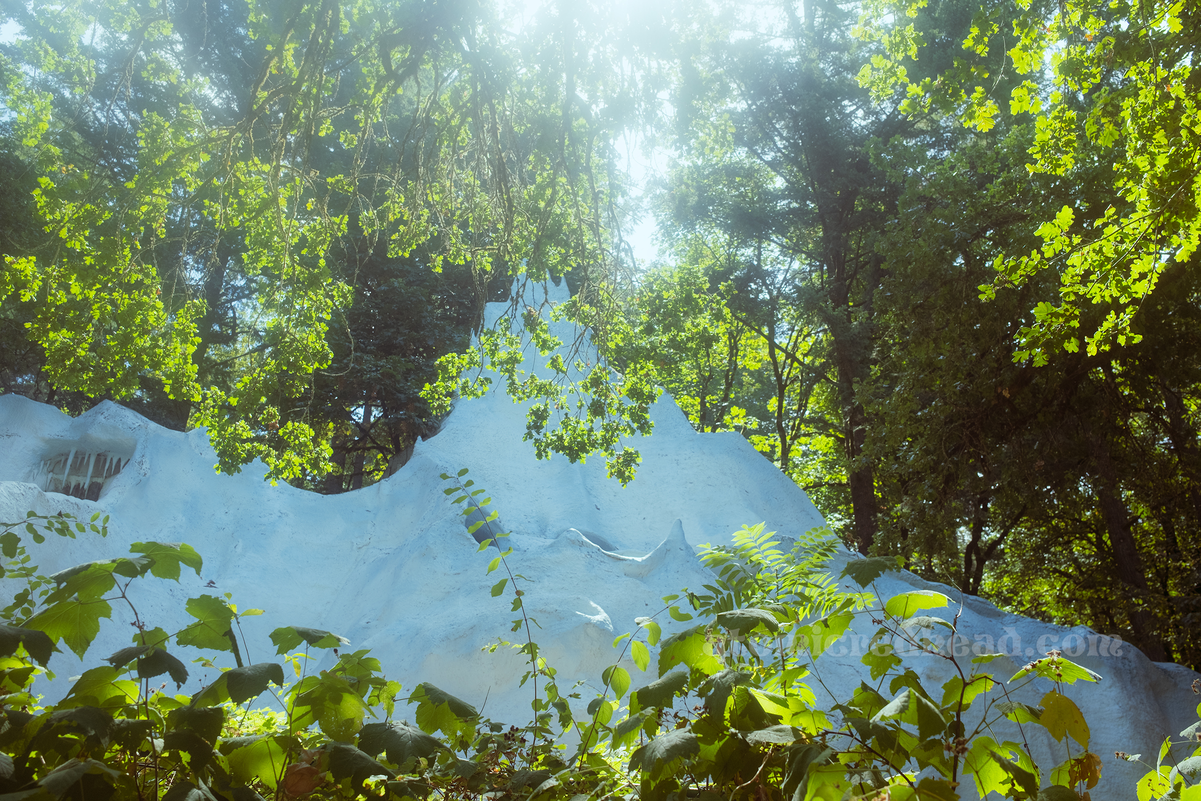 Ice Mountain, a white mountain hidden in the trees.