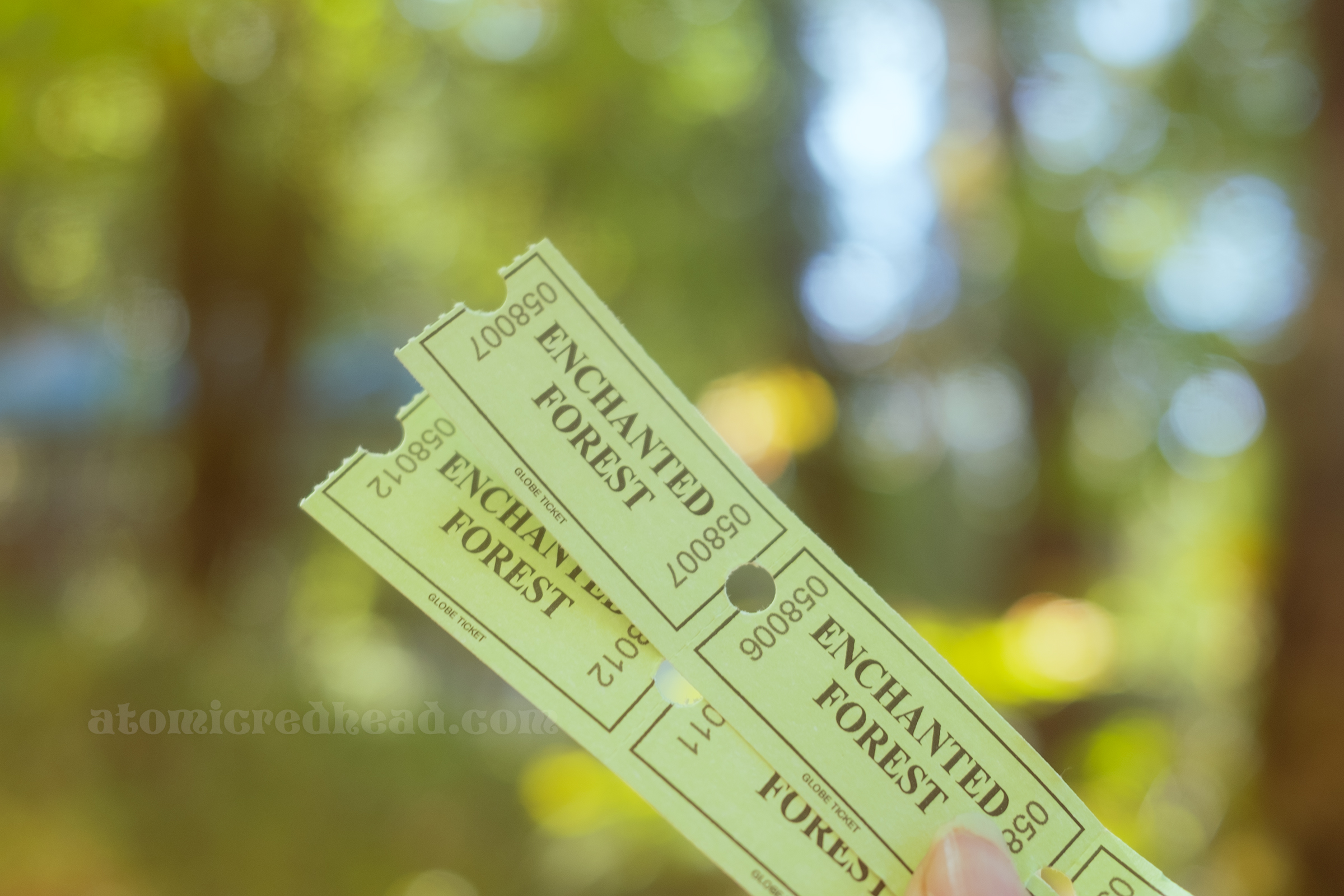 Green tickets for Enchanted Forest rides.