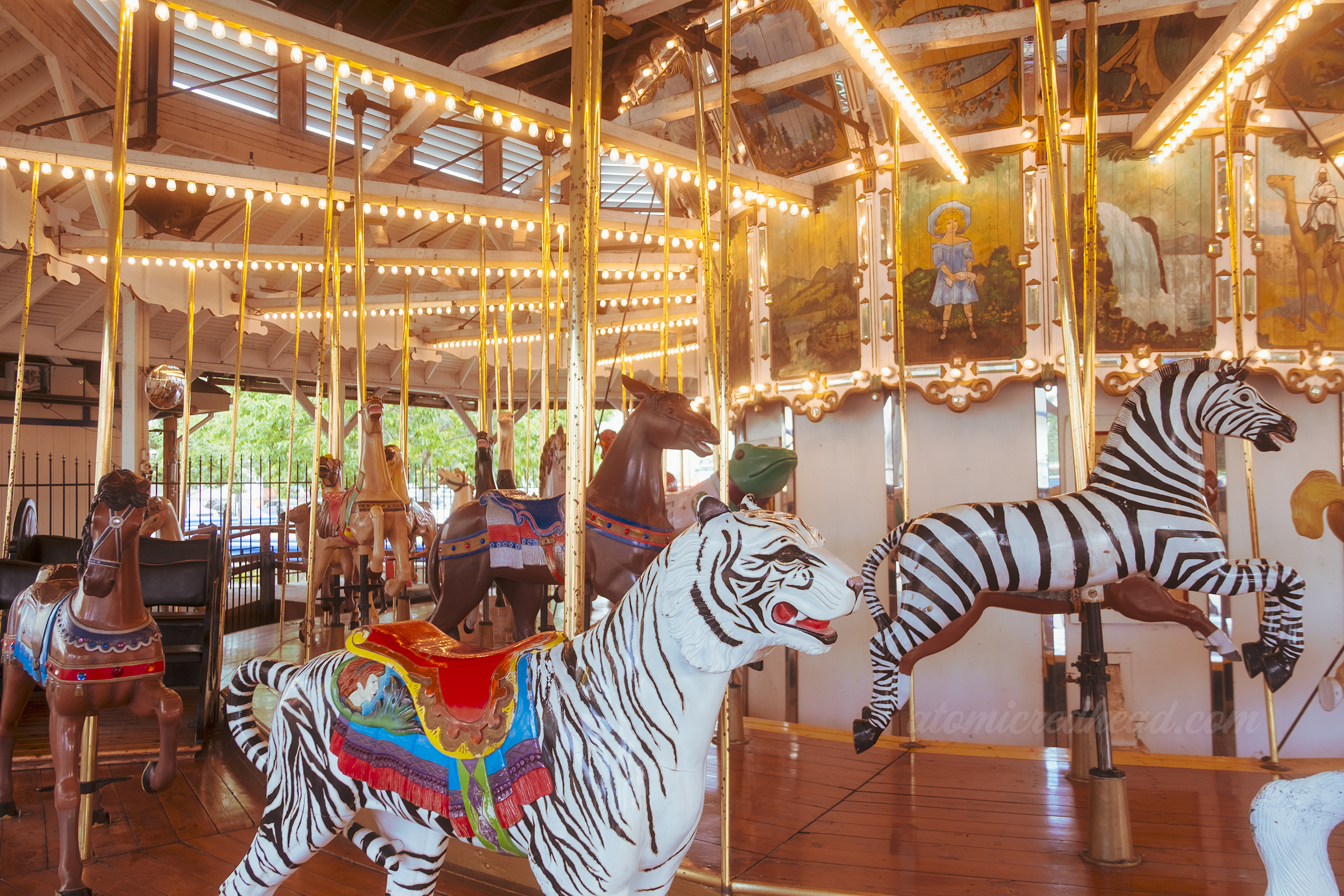 A white tiger, zebra, and horse visible on the carousel. 