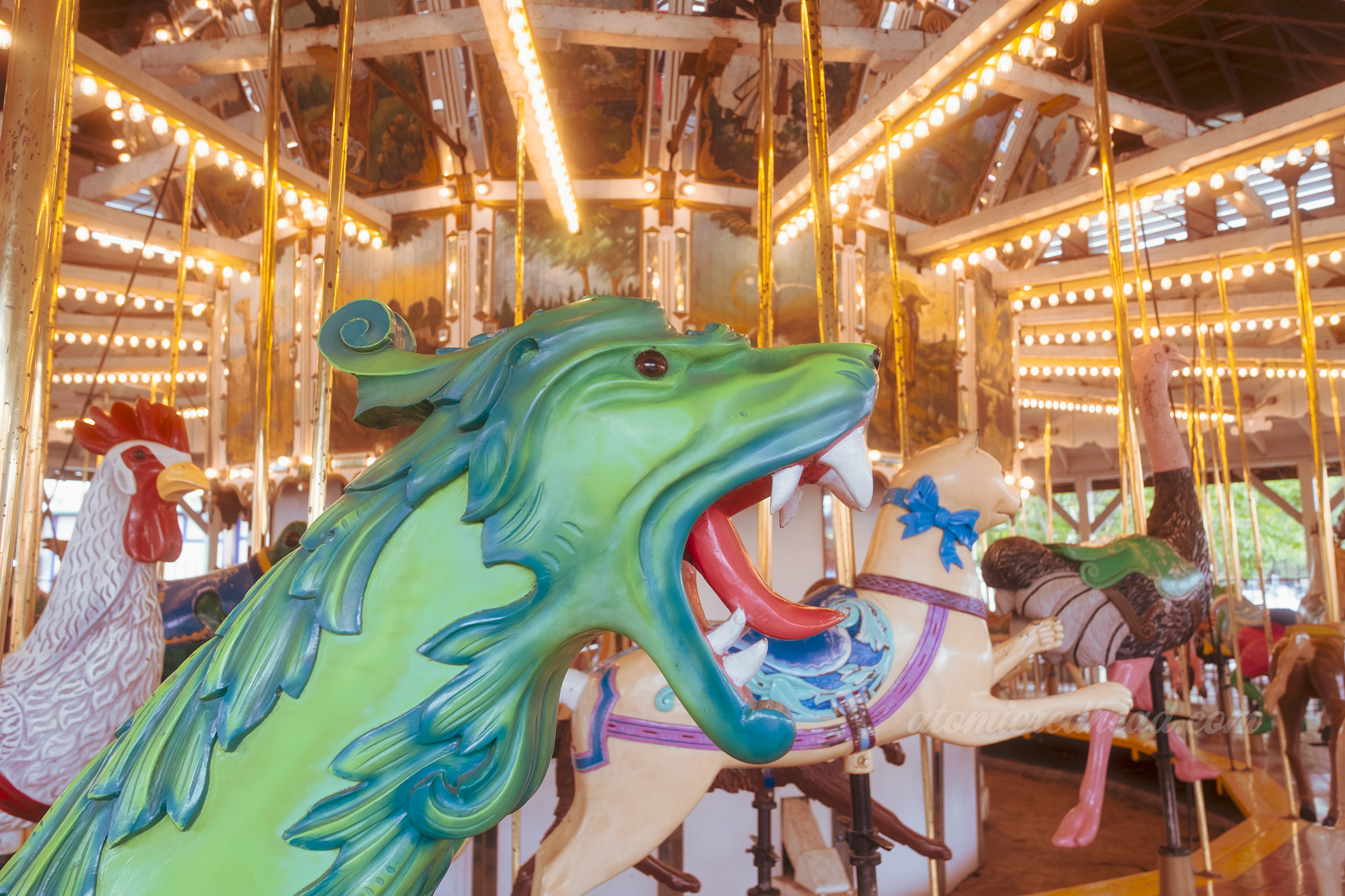Close-up of the green and blue sea dragon.