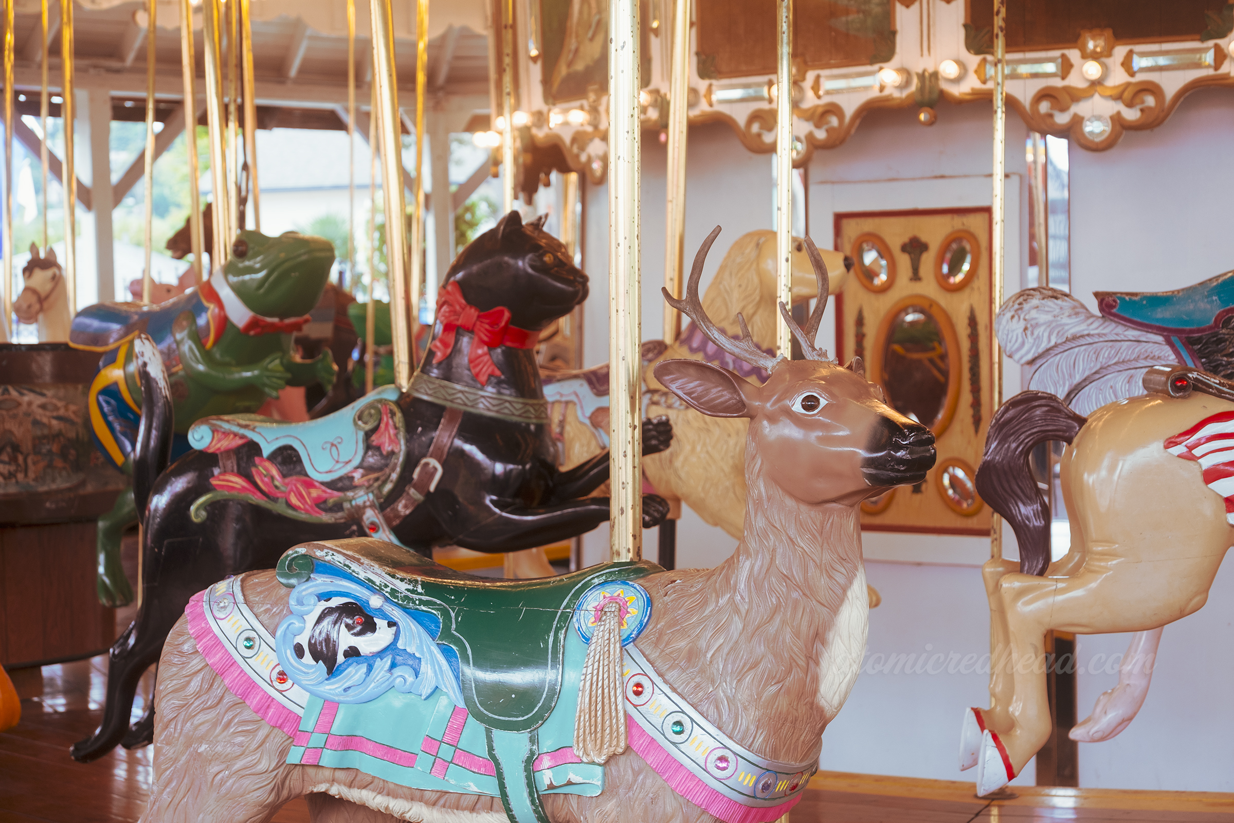 A deer and black cat on the carousel.