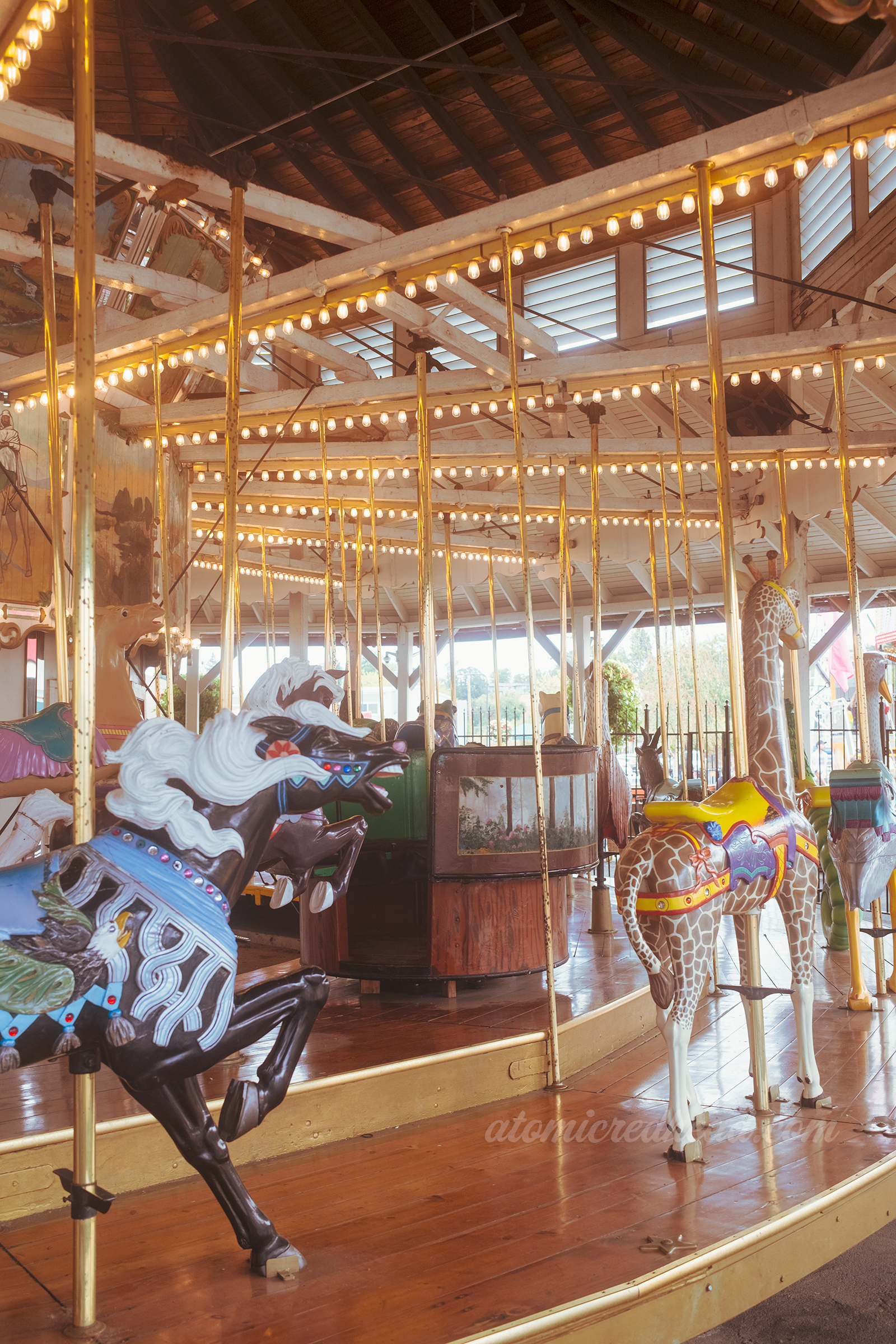 Overall of the carousel.
