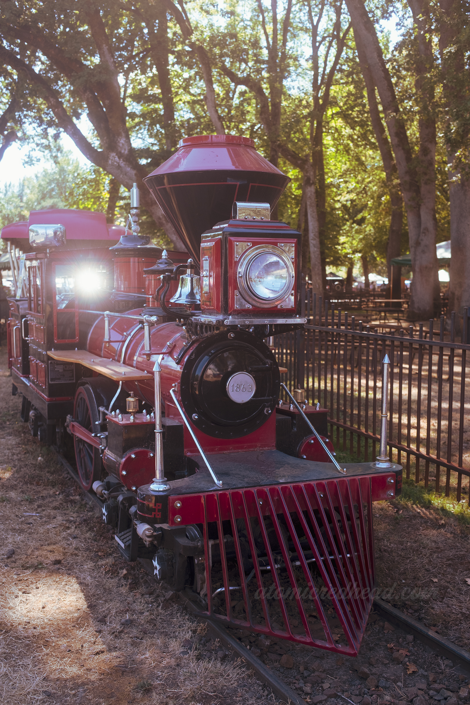 The small train ride.