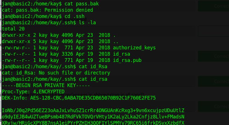 Basic Pentesting Atom - Premium Colorful Image Gallery - Ultra HD