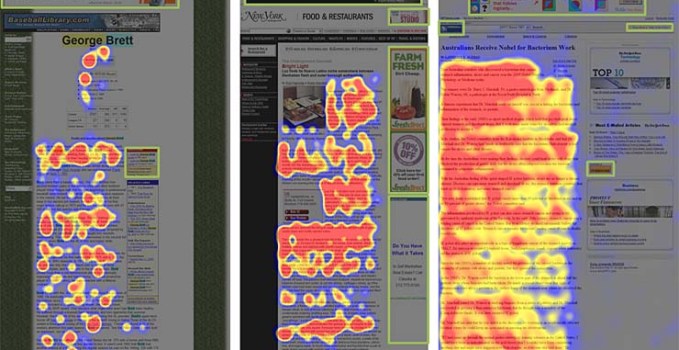 Eye tracking studies