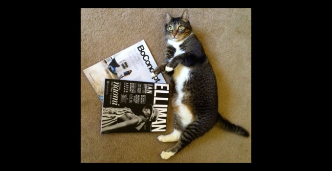 Heavy Reading