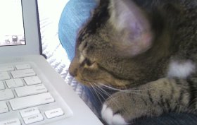 Why Work Never Gets Done