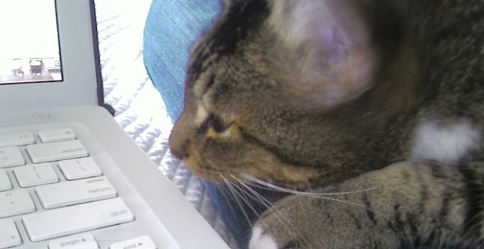 Why Work Never Gets Done