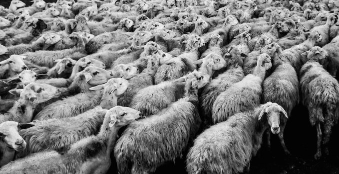 conformity